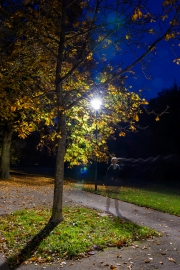 Kurpark Bad Wildungen