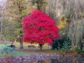 Kurpark Bad Wildungen