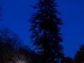 Kurpark Bad Wildungen