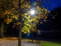 Kurpark Bad Wildungen