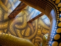Ausstellung Yayoi Kusama