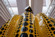 Ausstellung Yayoi Kusama