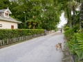 Chalet Villa Creole