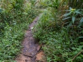 nido_20240918_R0410_web