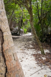 Anse Source d'Argent