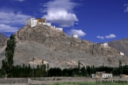 Tikse Gompa