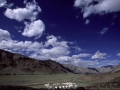 Sarchu-Camp