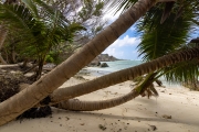Anse Source d