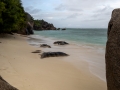 Anse Source d