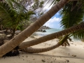 Anse Source d