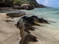 Anse Source d