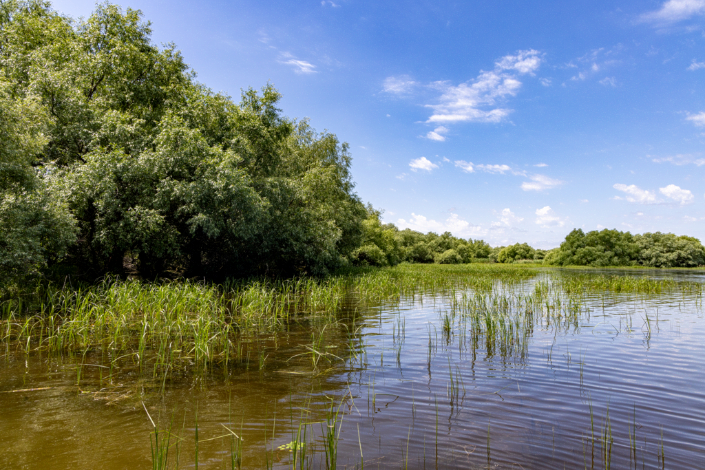 fluss_breit-20260604_S9639_web
