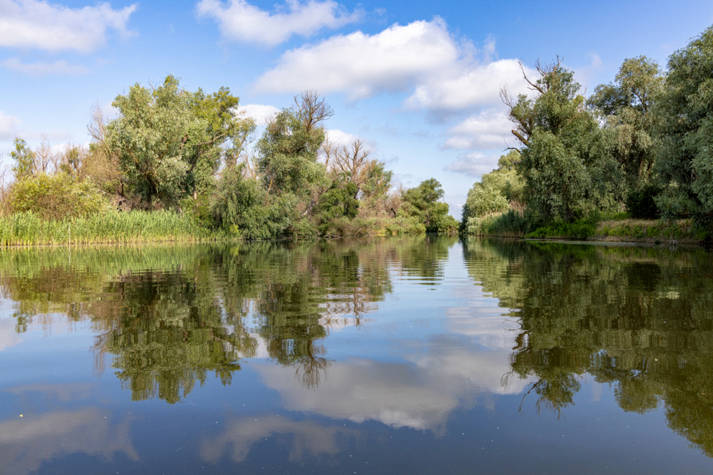 fluss_schmal-20260605_S9690_web