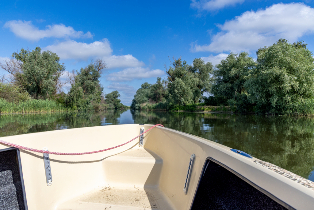 fluss_schmal-20260605_S9694_web