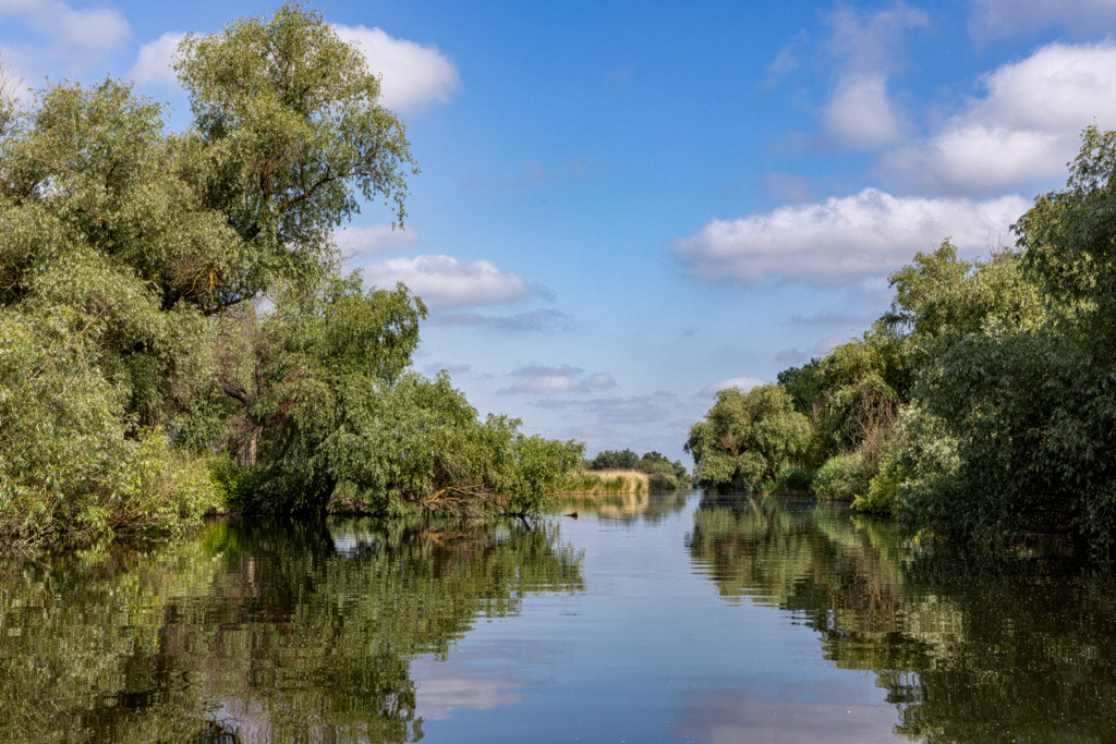 fluss_schmal-20260605_S9699_web