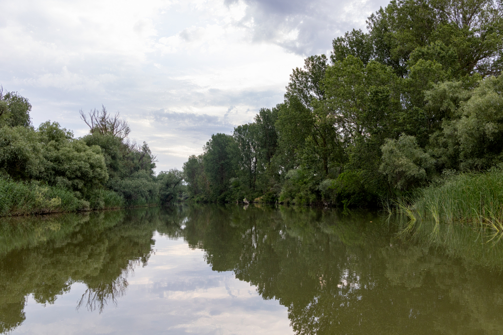 fluss_schmal-20260607_S9786_web