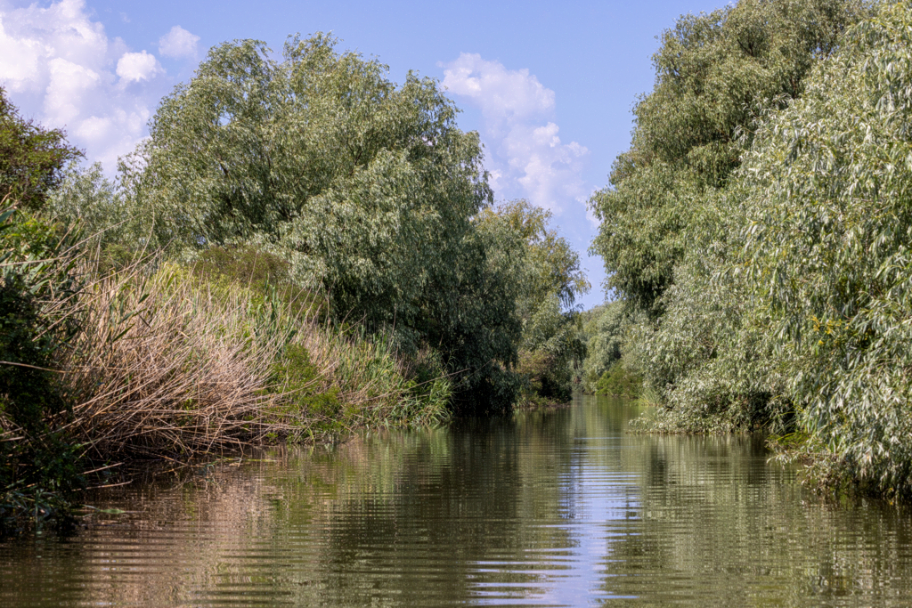 fluss_schmal-20260609_R1006_web