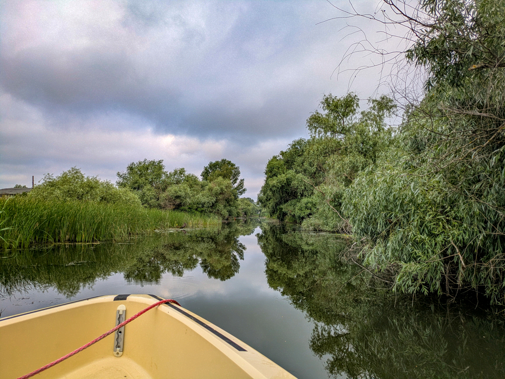 fluss_schmal-PXL_20260605_034316638.MP_web