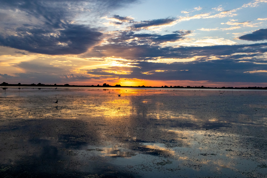 sonnenuntergang-20260608_S0125_web