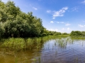 fluss_breit-20260604_S9639_web
