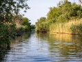 fluss_schmal-20260606_R9334_web
