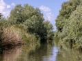 fluss_schmal-20260609_R1006_web