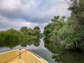 fluss_schmal-PXL_20260605_034316638.MP_web