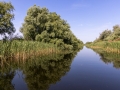 schilf-20260606_S9758_web