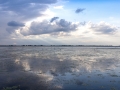 see-20260608_S0025_web