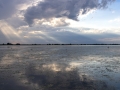 see-20260608_S0028_web