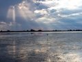 see-20260608_S0039_web