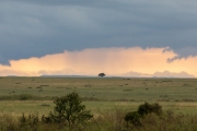 Massai Mara Nationalpark