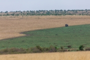 Massai Mara Nationalpark