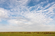 Massai Mara Nationalpark