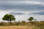 Massai Mara Nationalpark