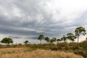 Massai Mara Nationalpark