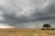 Massai Mara Nationalpark