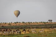 Massai Mara Nationalpark