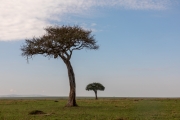 Massai Mara Nationalpark