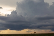 Massai Mara Nationalpark