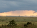 Massai Mara Nationalpark