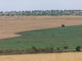 Massai Mara Nationalpark