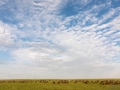 Massai Mara Nationalpark