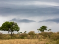 Massai Mara Nationalpark