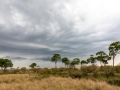 Massai Mara Nationalpark