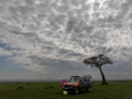 Frühstück im Massai Mara Nationalpark