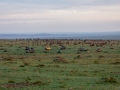 Massai Mara Nationalpark