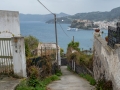 forgia_vecchia_20240326_A4881_web