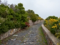 forgia_vecchia_20240326_A4888_web