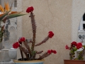 Lipari, Friedhof